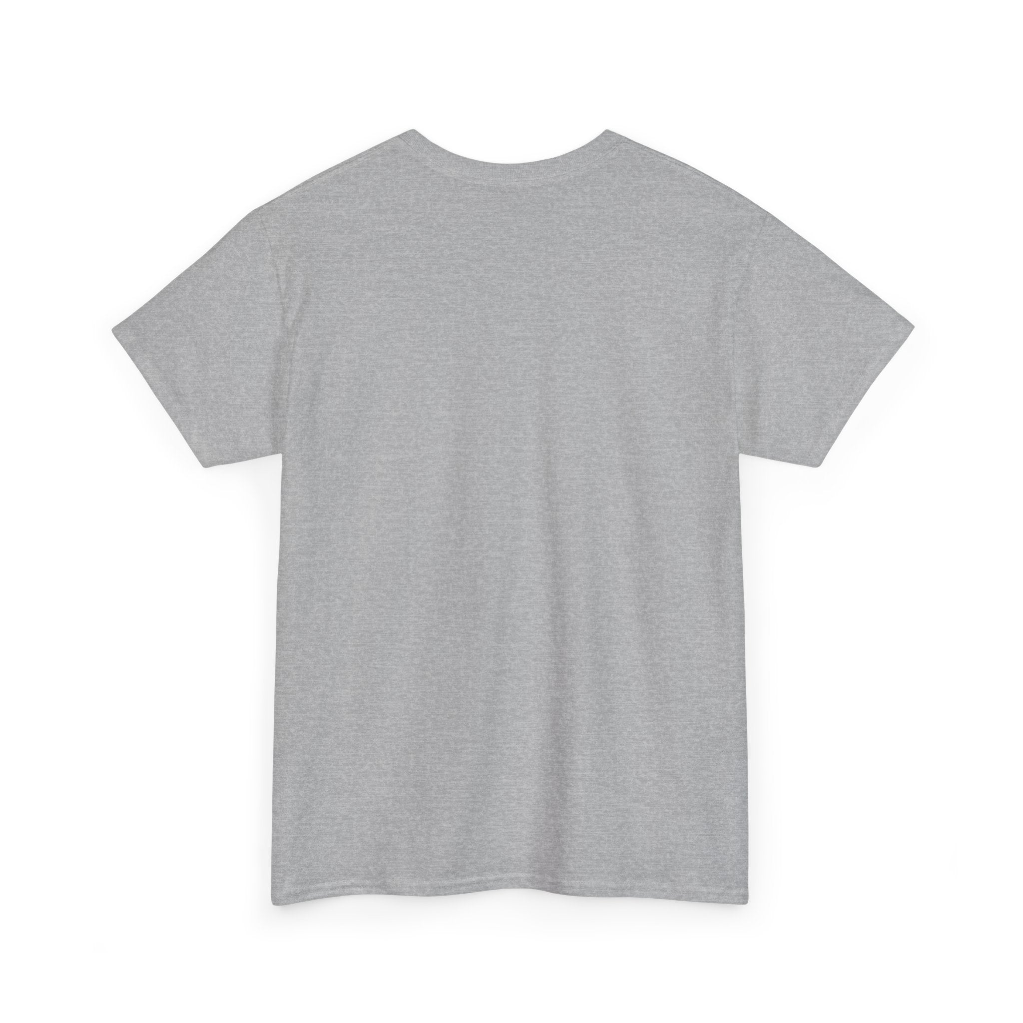 Sorry, I Already Made Plans With My Couch T-Shirt — Funny Cozy Stay-In Tee